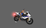 BMW S1000