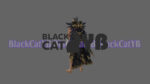 Cloak VC 012