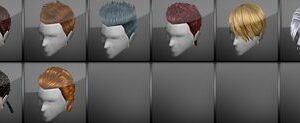 Hair Custom Male + Female