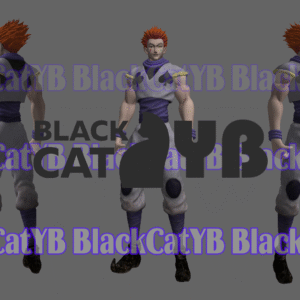 Hisoka Morow