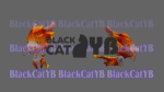 Pet BASR 001